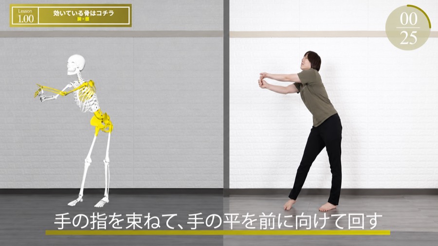 動画再生画面